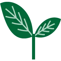 CSR（社会的責任）
