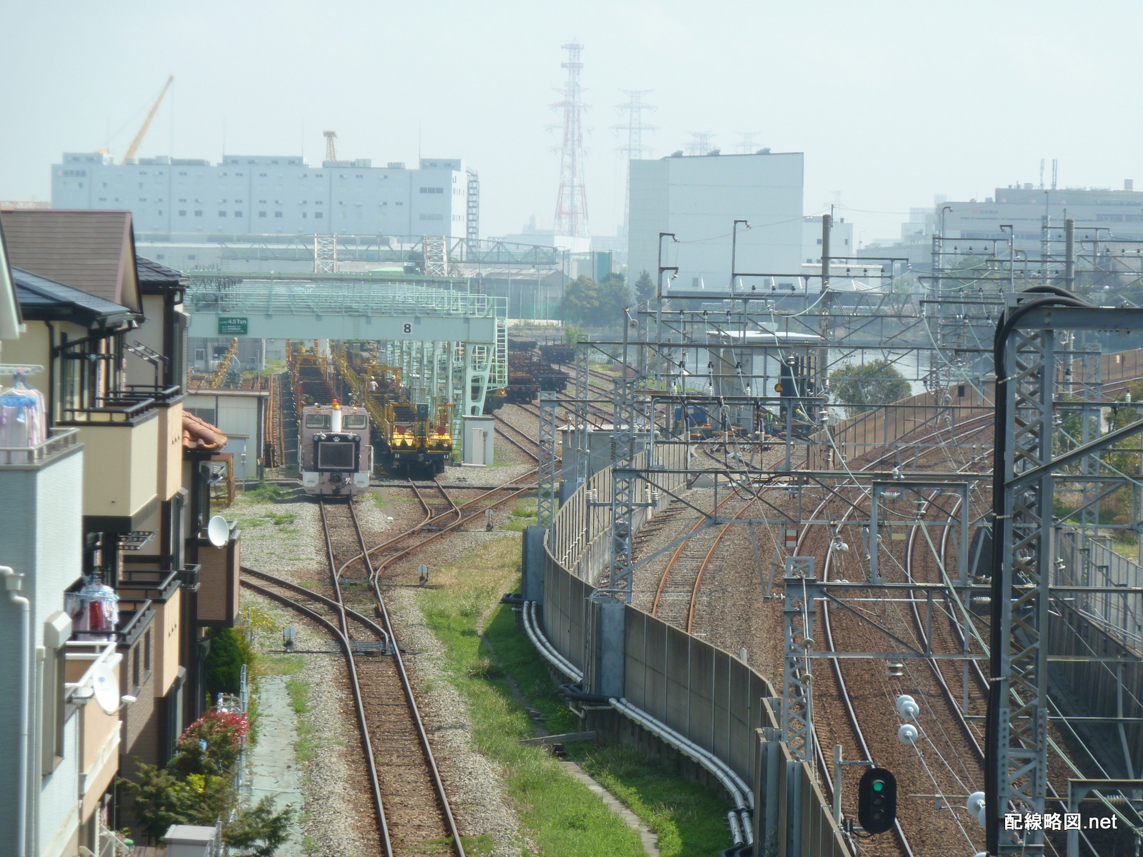 カマキリには毒があるのでしょうか? -