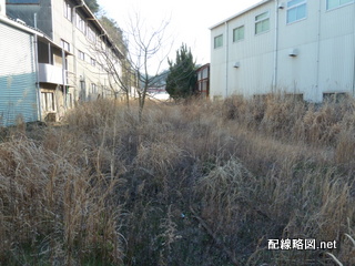 田浦駅へ向かう線路