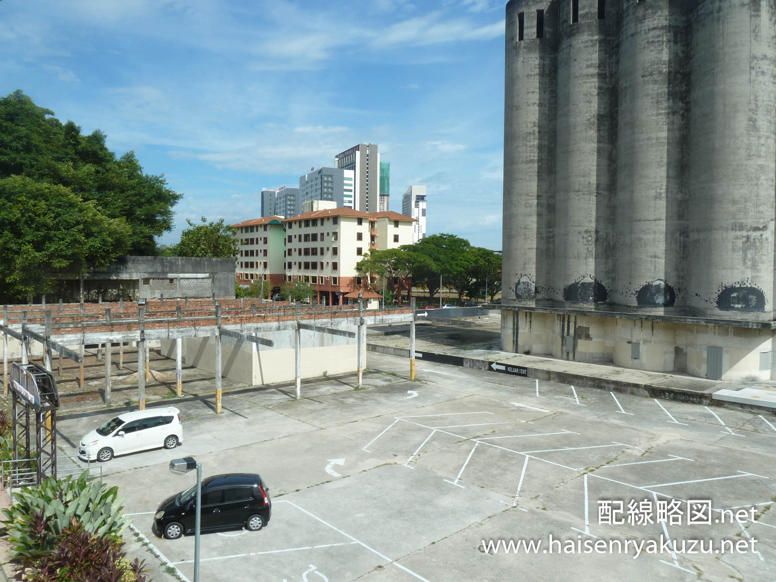 クラゲには目があるのでしょうか?